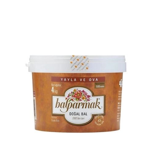  BALPARMAK YAYLA ve OVA ÇİÇEK BALI 4 KG